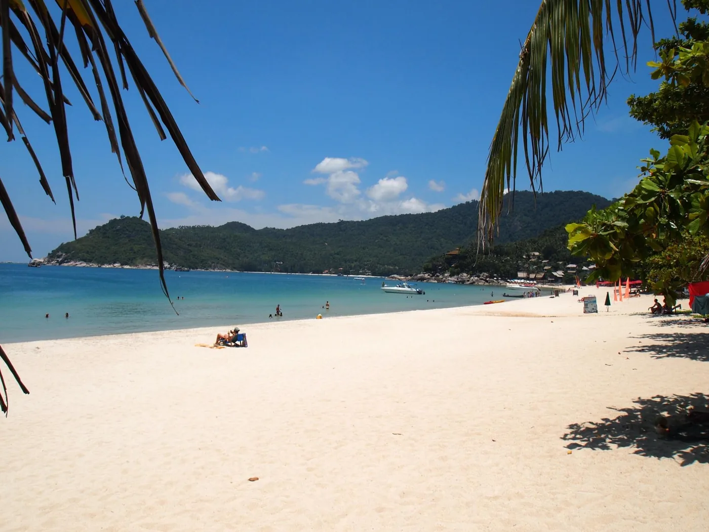 Thong Nai Pan beach — wide arc of white sand framed by palm trees