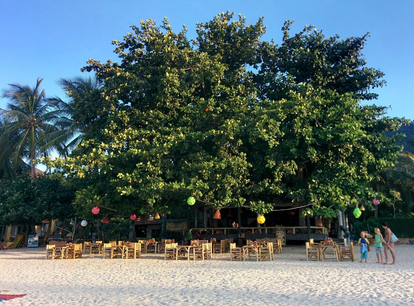 Beachside restaurant under a giant tree, Thong Nai Pan Noi, Koh Phangan