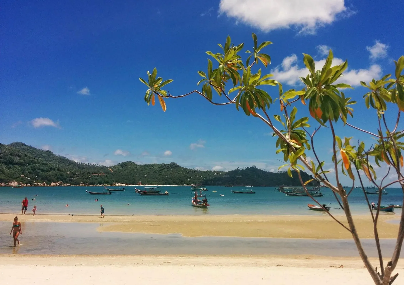 Long-tail boats moored in Thong Nai Pan bay, turquoise water