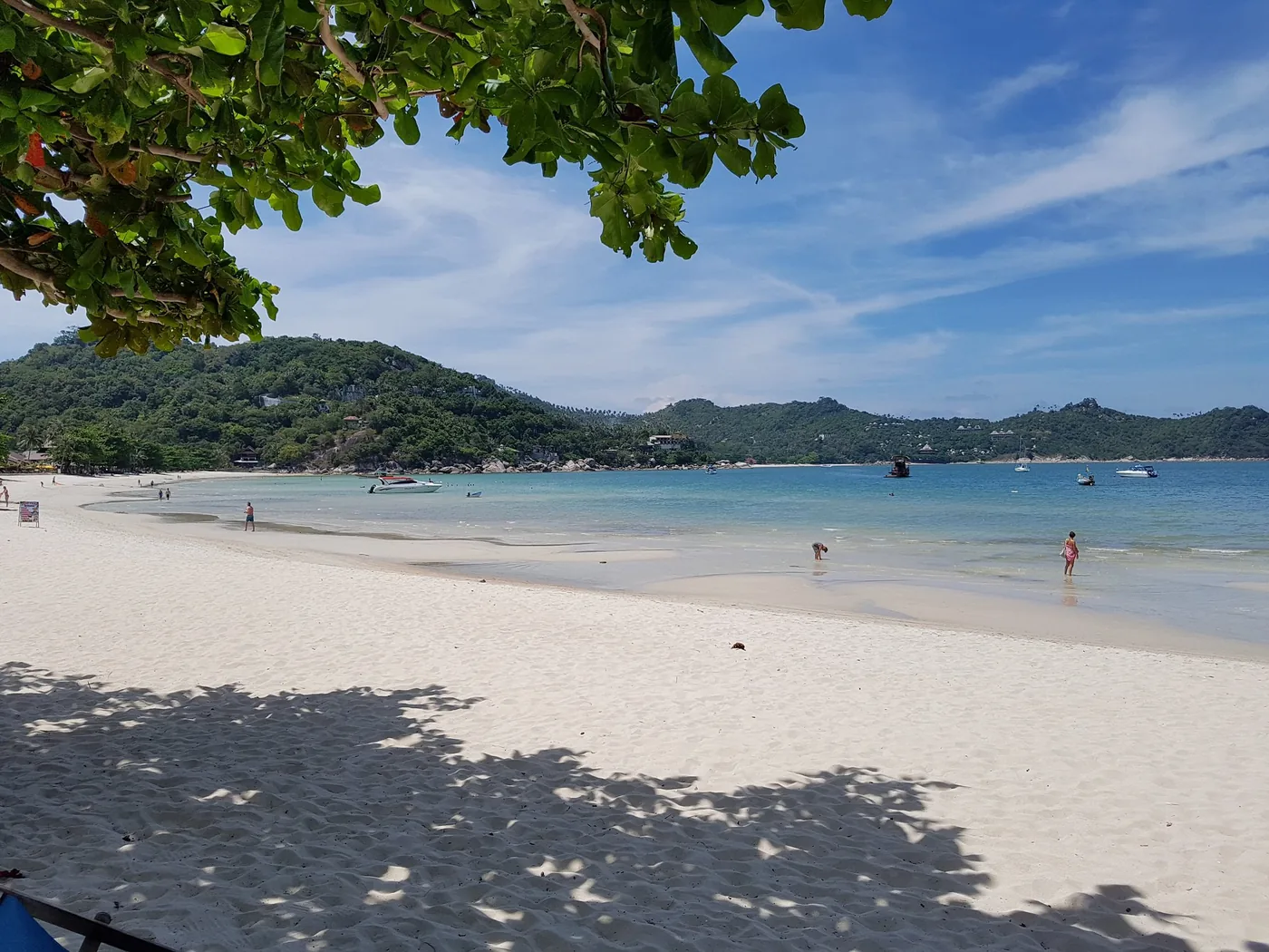 Thong Nai Pan Noi — white sand arc and tree canopy, calm day